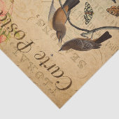 Ephemera French Postcard Flycatcher Bird Decoupage Seidenpapier (Ausschnitt)