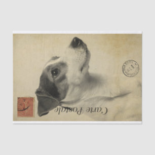 Ephemera French Postcard Jack Russel Terrier Dog Seidenpapier