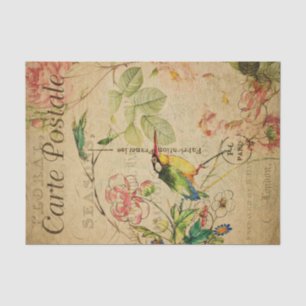 Ephemera French Postcard Kingfisher Bird Decoupage Seidenpapier