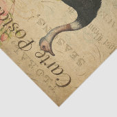 Ephemera French Postcard Ostrich Decoupage Seidenpapier (Ausschnitt)
