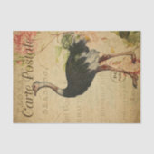 Ephemera French Postcard Ostrich Decoupage Seidenpapier (Vorderseite)