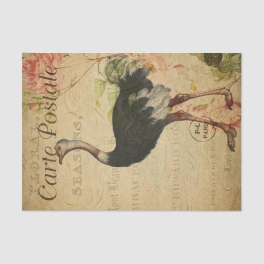 Ephemera French Postcard Ostrich Decoupage Seidenpapier (Vorderseite)