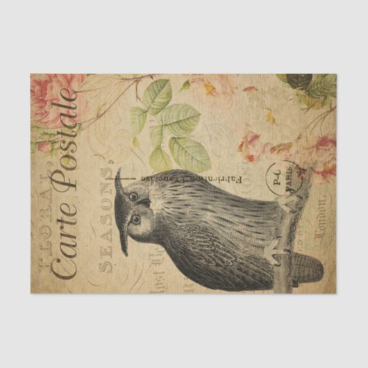 Ephemera French Postcard Owl Pink Roses Decoupage Seidenpapier (Vorderseite)
