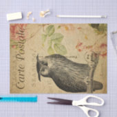 Ephemera French Postcard Owl Pink Roses Decoupage Seidenpapier (Handwerk)