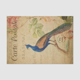 Ephemera French Postcard Peacock Decoupage Seidenpapier