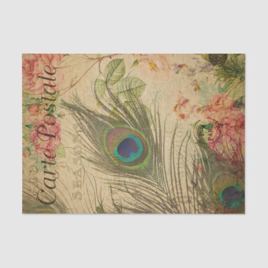 Ephemera French Postcard Peacock Feather Decoupage Seidenpapier (Vorderseite)