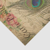 Ephemera French Postcard Peacock Feather Decoupage Seidenpapier (Ausschnitt)