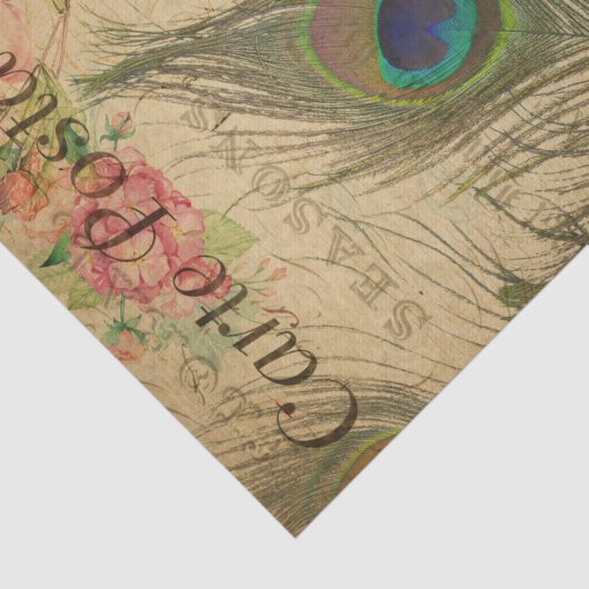 Ephemera French Postcard Peacock Feather Decoupage Seidenpapier (Ausschnitt)