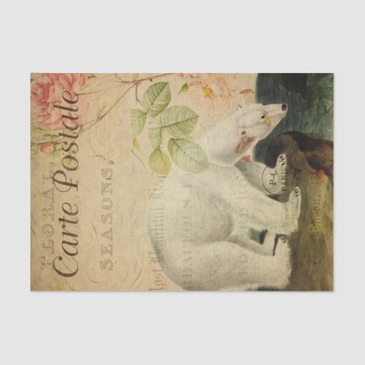 Ephemera French Postcard Polar Bear Decoupage Seidenpapier (Vorderseite)