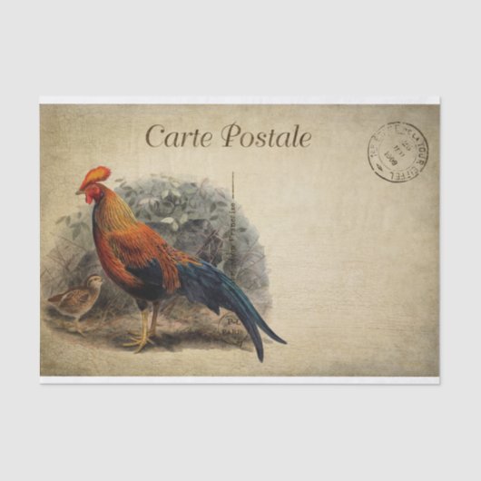 Ephemera French Postcard Rooster Chick Decoupage Seidenpapier (Vorderseite)