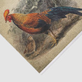 Ephemera French Postcard Rooster Chick Decoupage Seidenpapier (Ausschnitt)