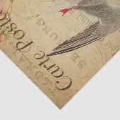 Ephemera French Postcard Tern Bird Decoupage Seidenpapier (Ausschnitt)