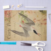 Ephemera French Postcard Tern Bird Decoupage Seidenpapier (Handwerk)