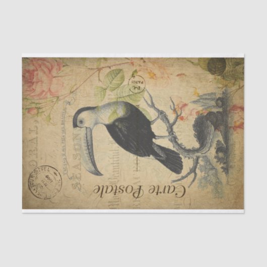 Ephemera French Postcard Toucan Bird Decoupage Seidenpapier (Vorderseite)