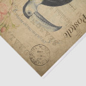 Ephemera French Postcard Toucan Bird Decoupage Seidenpapier (Ausschnitt)