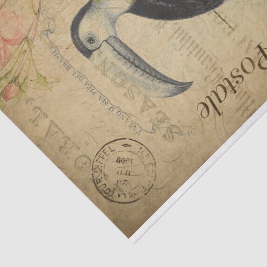 Ephemera French Postcard Toucan Bird Decoupage Seidenpapier (Ausschnitt)