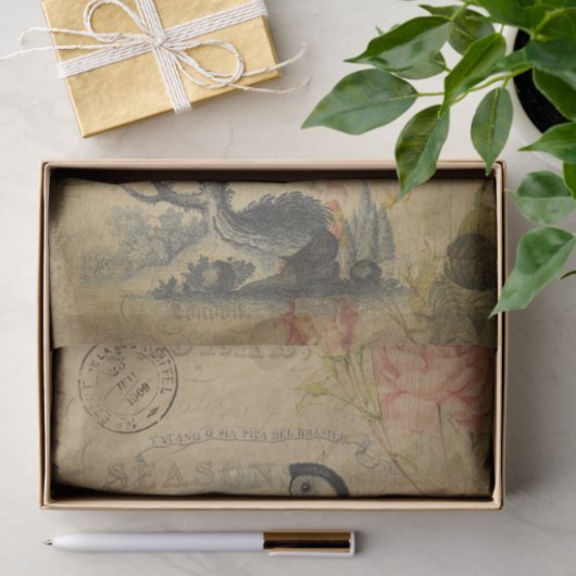 Ephemera French Postcard Toucan Bird Decoupage Seidenpapier (Geschenk)