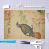 Ephemera Himalayan Monal Pheasant Bird Decoupage Seidenpapier (Handwerk)