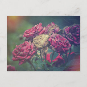Ephemera Journal Craft Postcard Rose Postkarte