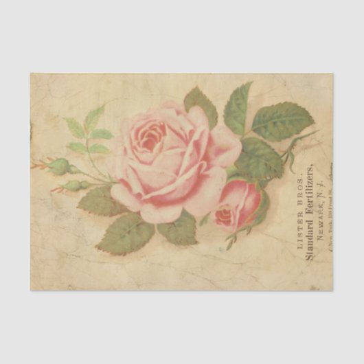 Ephemera Sheet Design Serie #10 Seidenpapier (Vorderseite)