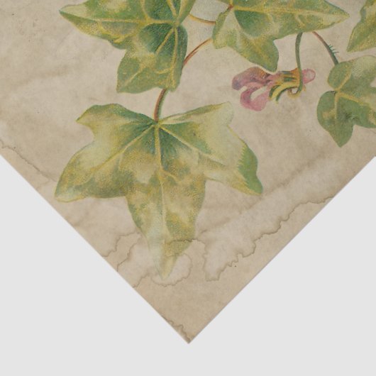 Ephemera Sheet Design Serie #5 Seidenpapier (Ausschnitt)