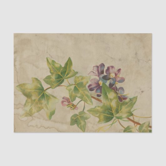 Ephemera Sheet Design Serie #5 Seidenpapier (Vorderseite)