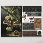 Ephemera Sheet - Woodland Moth (Vorderseite)