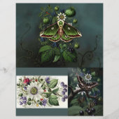 Ephemera Sheet - Woodland Moth (Vorderseite)