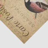 Ephemera Tit Bird Pink Roses Decoupage Seidenpapier (Ausschnitt)