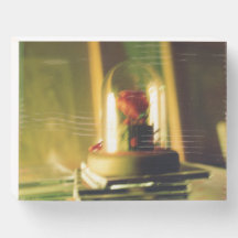 Ephemera Under Glass