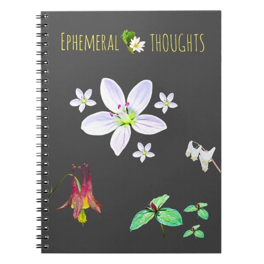 Ephemerials Thoughts Blank Notebook Notizblock (Vorderseite)