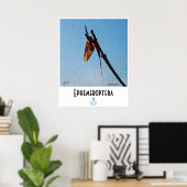 Ephemeroptera - Poster (Heimbüro)