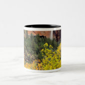 Ephemische Wasserfall-Pourte aus dem Steckplatz in Zweifarbige Tasse (Mittel)