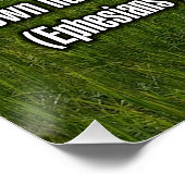Epheser 5:22-24 WEBU Poster (Ecke)