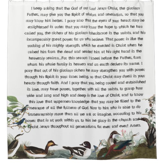 Ephesians 3 Birds Audubon Wildlife Dusche Vorhang (Vorderseite)