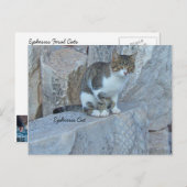 Ephesus Feral Cat Postcard Postkarte (Vorne/Hinten)