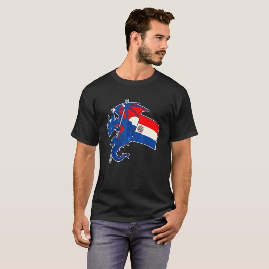 Epic Dragon With Paraguay Flag Paraguayan T-Shirt (Vorne ganz)