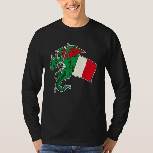 Epic Italian Dragon Proud Italy Flag T-Shirt (Vorderseite)