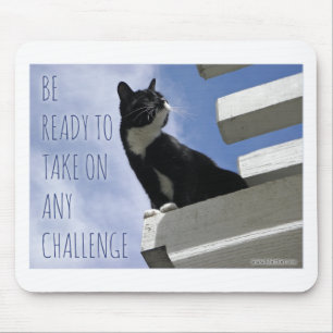 Epic Motivierend Challenge Motivierend Cat Quote Mousepad