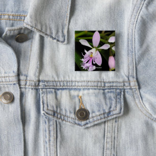 Epidendrum caligarium button