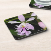 Epidendrum caligarium getränkeuntersetzer (Linke Seite)