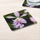 Epidendrum caligarium rechteckiger pappuntersetzer (angewinkelt)