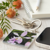 Epidendrum caligarium schlüsselanhänger (Vorderseite rechts)