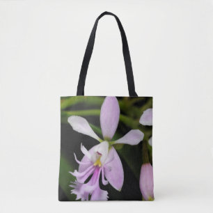 Epidendrum caligarium tasche