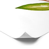 Epidendrum radicans orange gemahlene Orchideenwass Poster (Ecke)