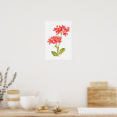 Epidendrum radicans orange gemahlene Orchideenwass Poster (Küche)