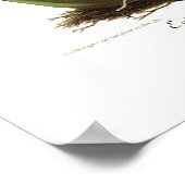 Epidendrum vitellinum poster (Ecke)