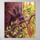 Epidexipteryx Poster (Vorne)