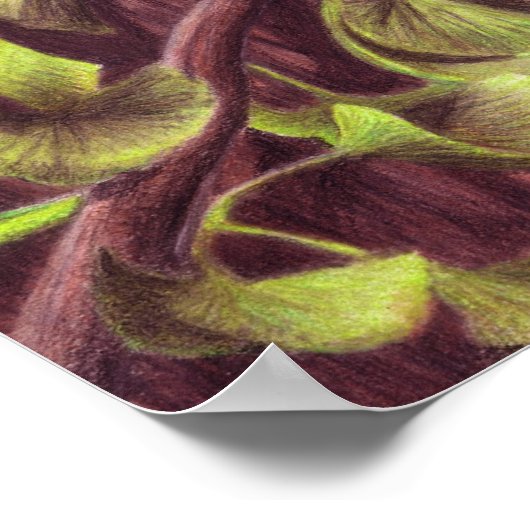 Epidexipteryx Poster (Ecke)