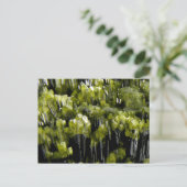 Epidote Postkarte (Stehend Vorderseite)